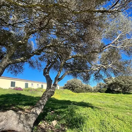 La Striscia Larga