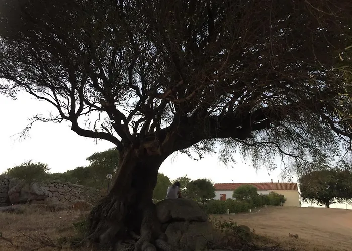 La Striscia Larga Bed and breakfast