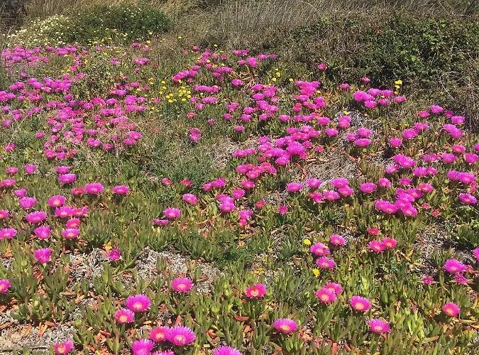 La Striscia Larga 3*