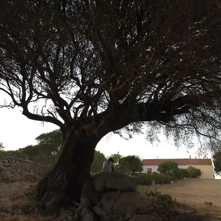 La Striscia Larga Bed & Breakfast