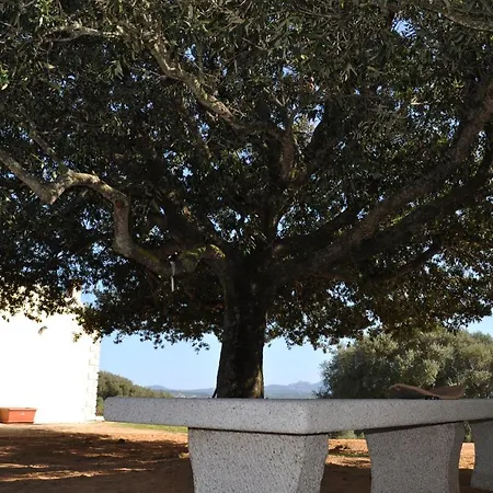 La Striscia Larga 3*