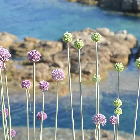 Bed & Breakfast La Striscia Larga