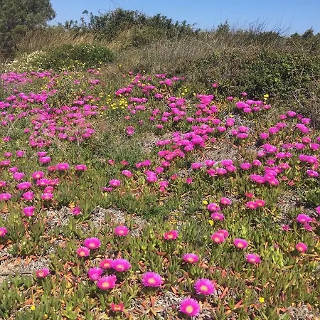 La Striscia Larga 3*