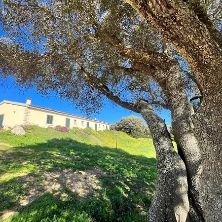 La Striscia Larga Bed & Breakfast