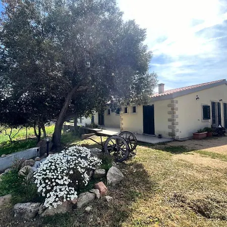 La Striscia Larga 3*