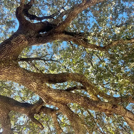 La Striscia Larga Bed & Breakfast