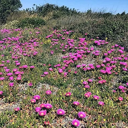 La Striscia Larga