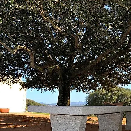 Bed & Breakfast La Striscia Larga San Pasquale