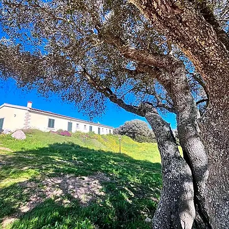 Bed & Breakfast La Striscia Larga 3*