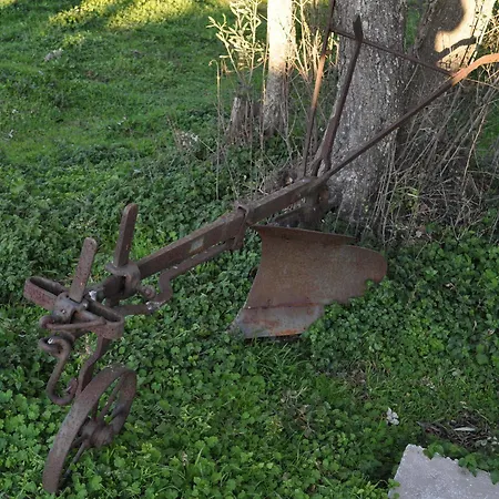 Bed & Breakfast La Striscia Larga 3*