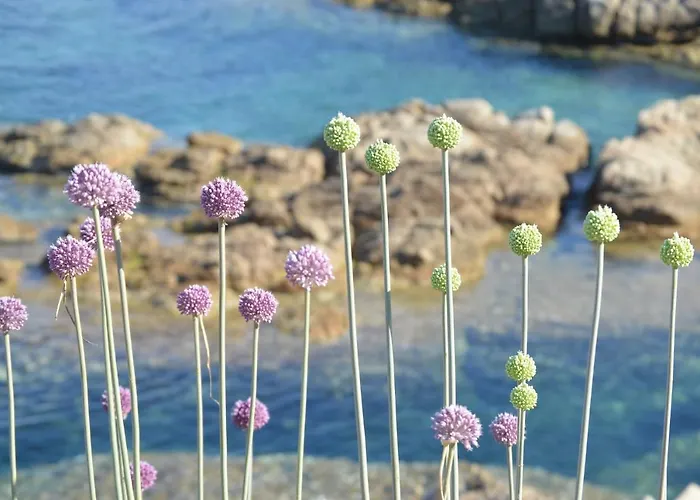 Bed & Breakfast La Striscia Larga