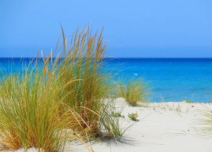 La Striscia Larga Bed & Breakfast 3*