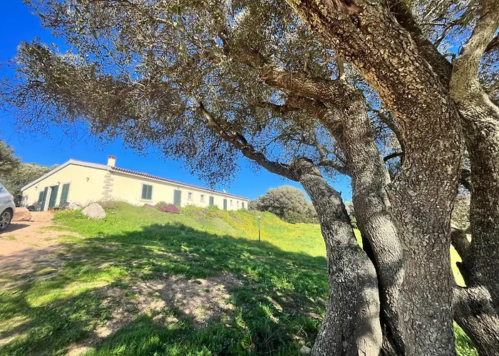 La Striscia Larga Bed & Breakfast